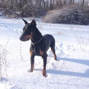 Meet your Posher, Mark